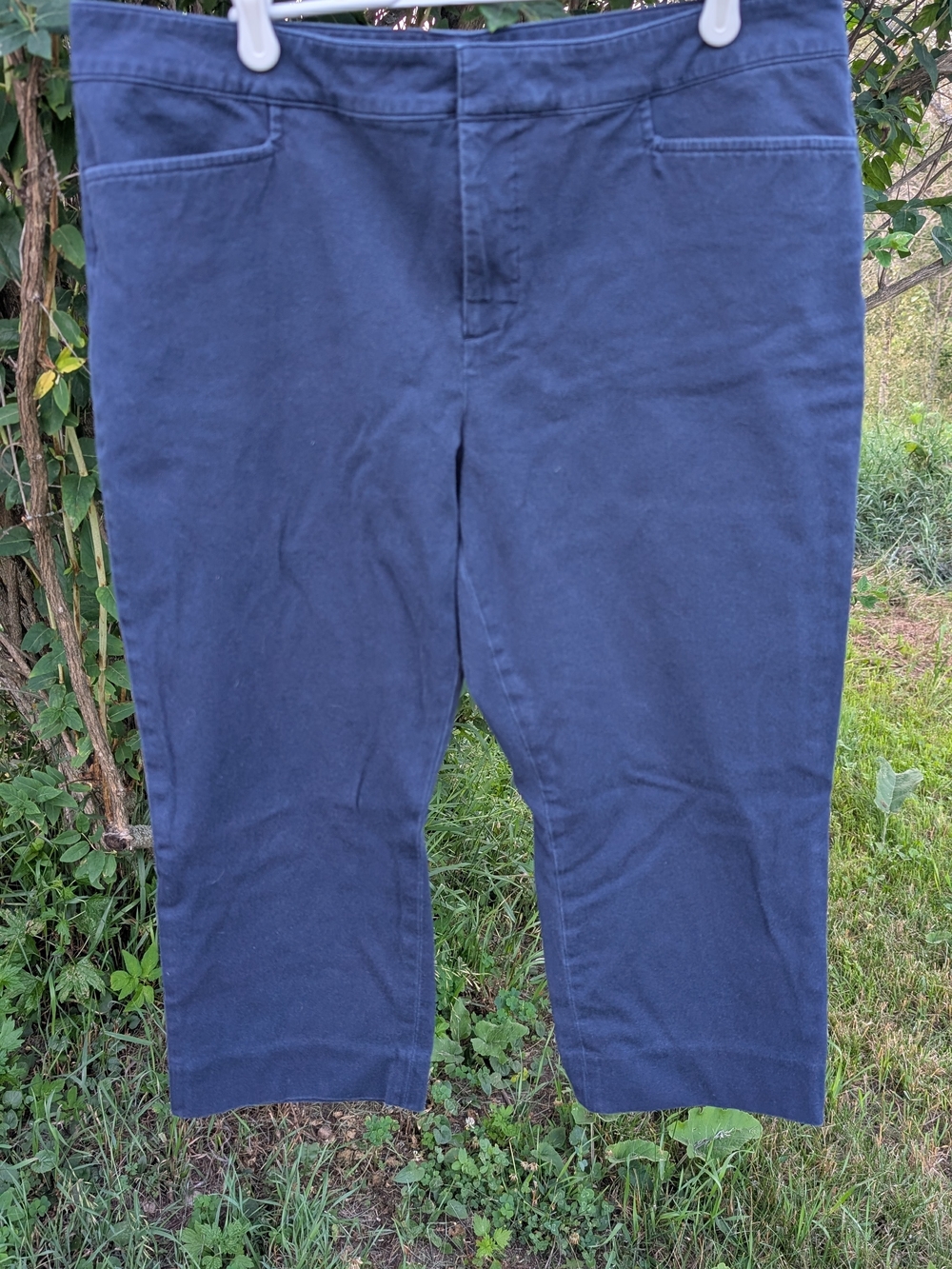 Chaps Navy Blue Capris Women's Stretch Pull-On Pants